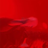 FRICTION「2013 - ライヴ・フリクション」ジャケット