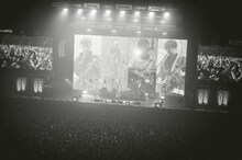 04 Limited Sazabys「YON EXPO'25」の様子。