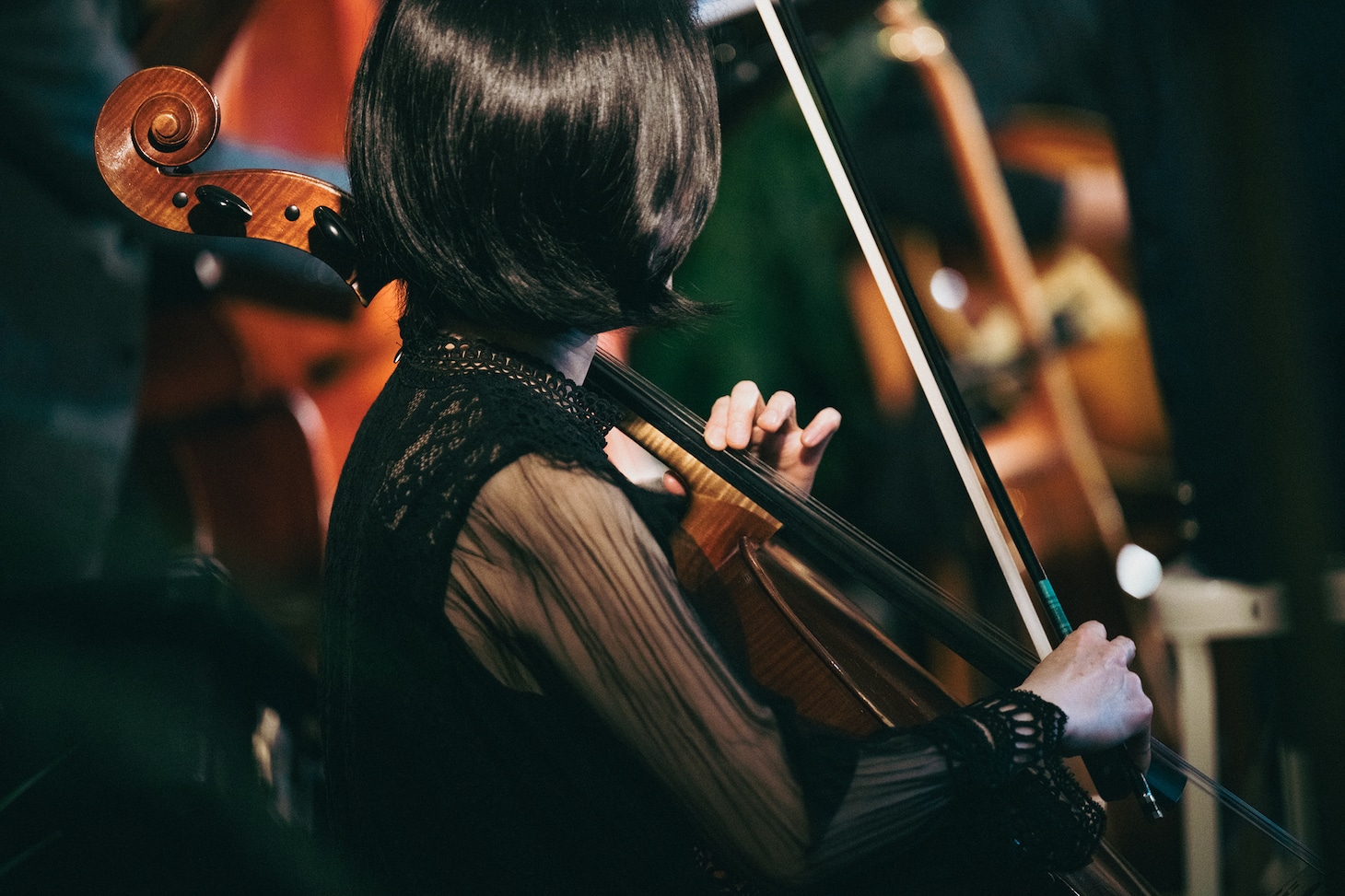 平山織絵（Cello）