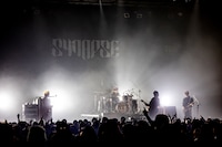 Plastic Tree（Photo by Viola Kam［V'z Twinkle］）