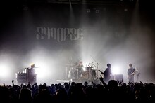 Plastic Tree（Photo by Viola Kam［V'z Twinkle］）