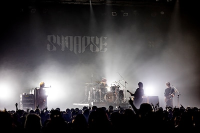 Plastic Tree（Photo by Viola Kam［V'z Twinkle］）