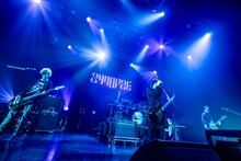 Plastic Tree（Photo by Viola Kam［V'z Twinkle］）