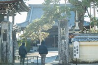 「MUSIC inn Fujieda」近所にある大慶寺。