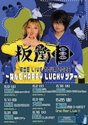 「板歯目 LIVE TOUR 2026 ～なんてHAPPY LUCKYツアー～」告知画像