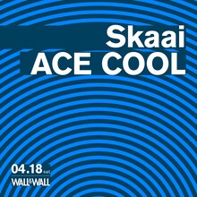 「Skaai×ACE COOL」ビジュアル
