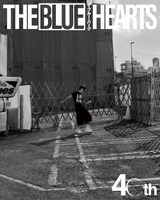 ザ・ブルーハーツ公式ジャケットデザインＴシャツ着用イメージ