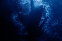 Ado「ビバリウム」ミュージックビデオより。