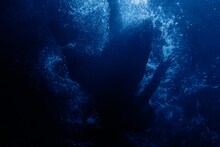 Ado「ビバリウム」ミュージックビデオより。