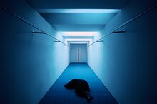 Ado、本人出演の実写MV公開