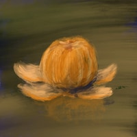 メコン「みかん」ジャケット