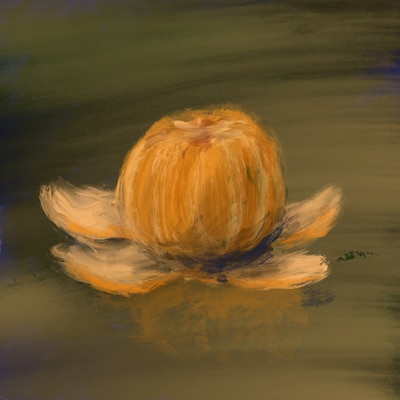 メコン「みかん」ジャケット