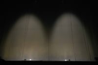 光になったぽんぽこ、ピーナッツくん。（撮影：廣田達也）