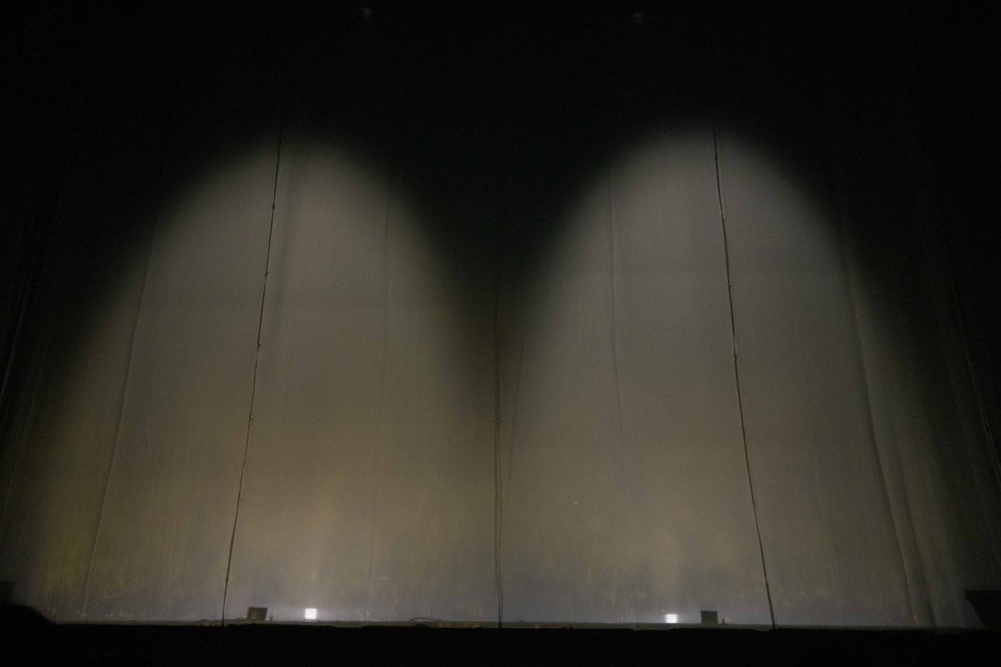 光になったぽんぽこ、ピーナッツくん。（撮影：廣田達也）