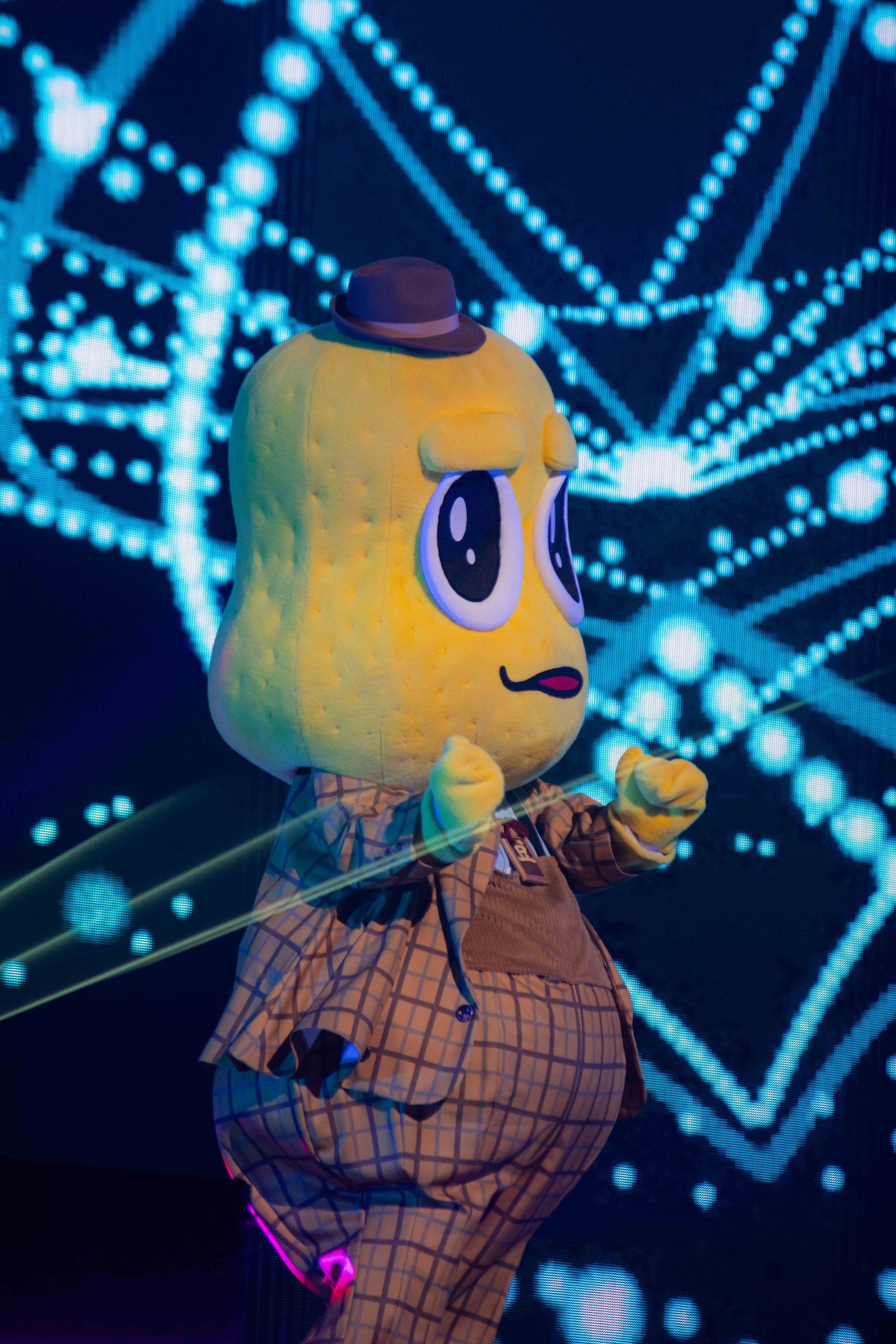 ピーナッツくん（撮影：廣田達也）