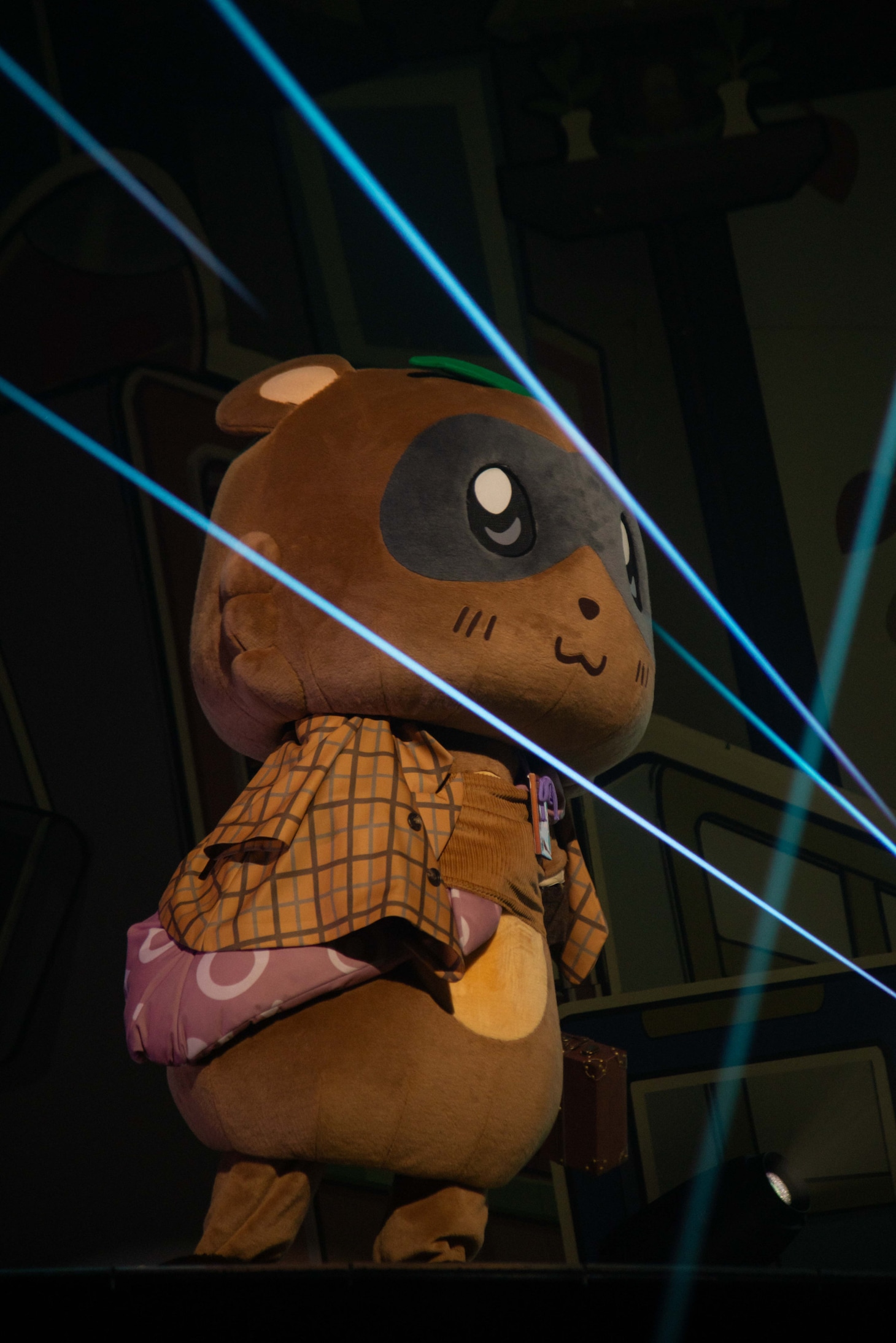 ぽんぽこ（撮影：廣田達也）