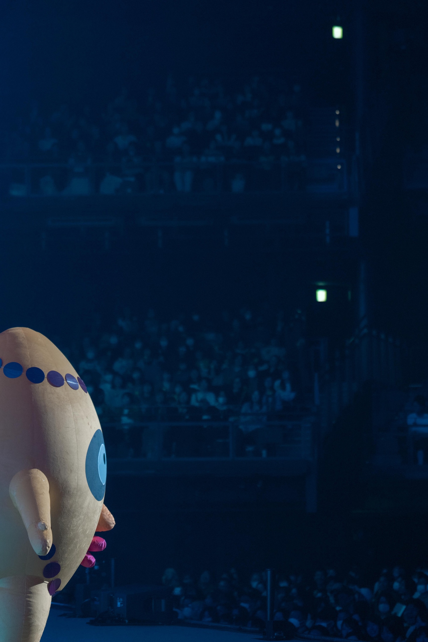 チャンチョ（撮影：小田切楽）