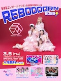 「新体制エレクトリックリボンお披露目無料公演『REBOOOORN2026』」の告知ビジュアル。