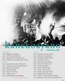 「kanekoayano World Tour 2026」告知画像
