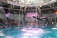 ももクロコラボのドルフィンパフォーマンス「Splash!!!! イルカとバシャ騒ぎ」の様子。