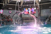 ももクロコラボのドルフィンパフォーマンス「Splash!!!! イルカとバシャ騒ぎ」の様子。