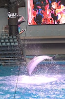 エビ反りジャンプを見せるトレーナー。