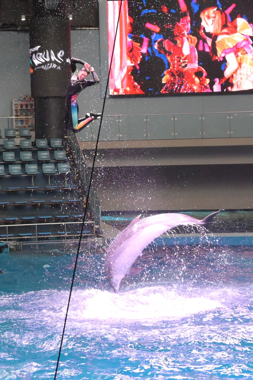 エビ反りジャンプを見せるトレーナー。