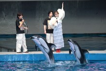 ジャンプのサインを出す百田夏菜子（ももいろクローバーZ）。