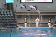 百田夏菜子（ももいろクローバーZ）のサインで跳んだイルカ。