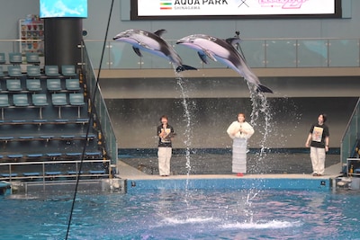 百田夏菜子（ももいろクローバーZ）のサインで跳んだイルカ。