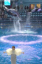 百田夏菜子（ももいろクローバーZ）とイルカ。