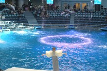 百田夏菜子（ももいろクローバーZ）とイルカ。