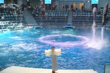 百田夏菜子（ももいろクローバーZ）とイルカ。