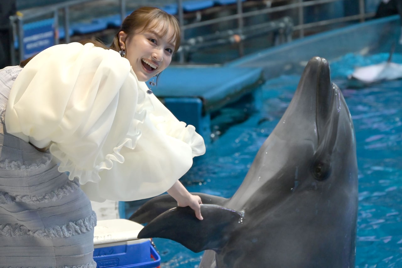 ももクロ百田夏菜子、イルカと気持ちがつながる「アクアパーク品川」コラボイベント初日に登場