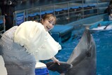 イルカと握手する百田夏菜子（ももいろクローバーZ）。