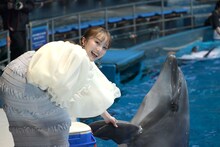 イルカと握手する百田夏菜子（ももいろクローバーZ）。