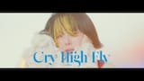 aiko「Cry High Fly」MVサムネイル