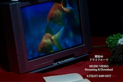 櫻坂46のBACKSメンバー新曲「ドライフルーツ」MV公開と先行配信決定