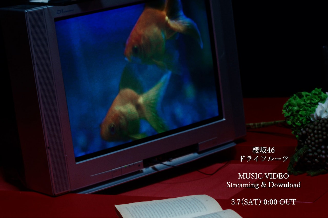 櫻坂46「ドライフルーツ」ミュージックビデオ公開＆先行配信告知ビジュアル