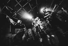 BACK-ONとナオ・オブ・ナオ（豆柴の大群）。（撮影：タカギユウスケ）