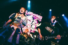 BACK-ONとナオ・オブ・ナオ（豆柴の大群）。（撮影：タカギユウスケ）