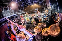 豆柴の大群バンドセッションの様子。（撮影：タカギユウスケ）