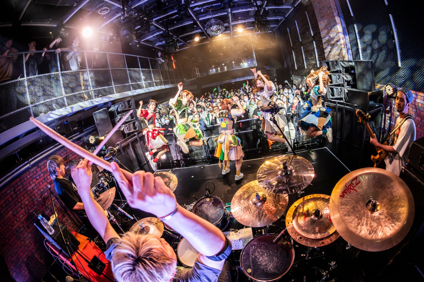 豆柴の大群バンドセッションの様子。（撮影：タカギユウスケ）