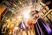 豆柴の大群バンドセッションの様子。（撮影：タカギユウスケ）