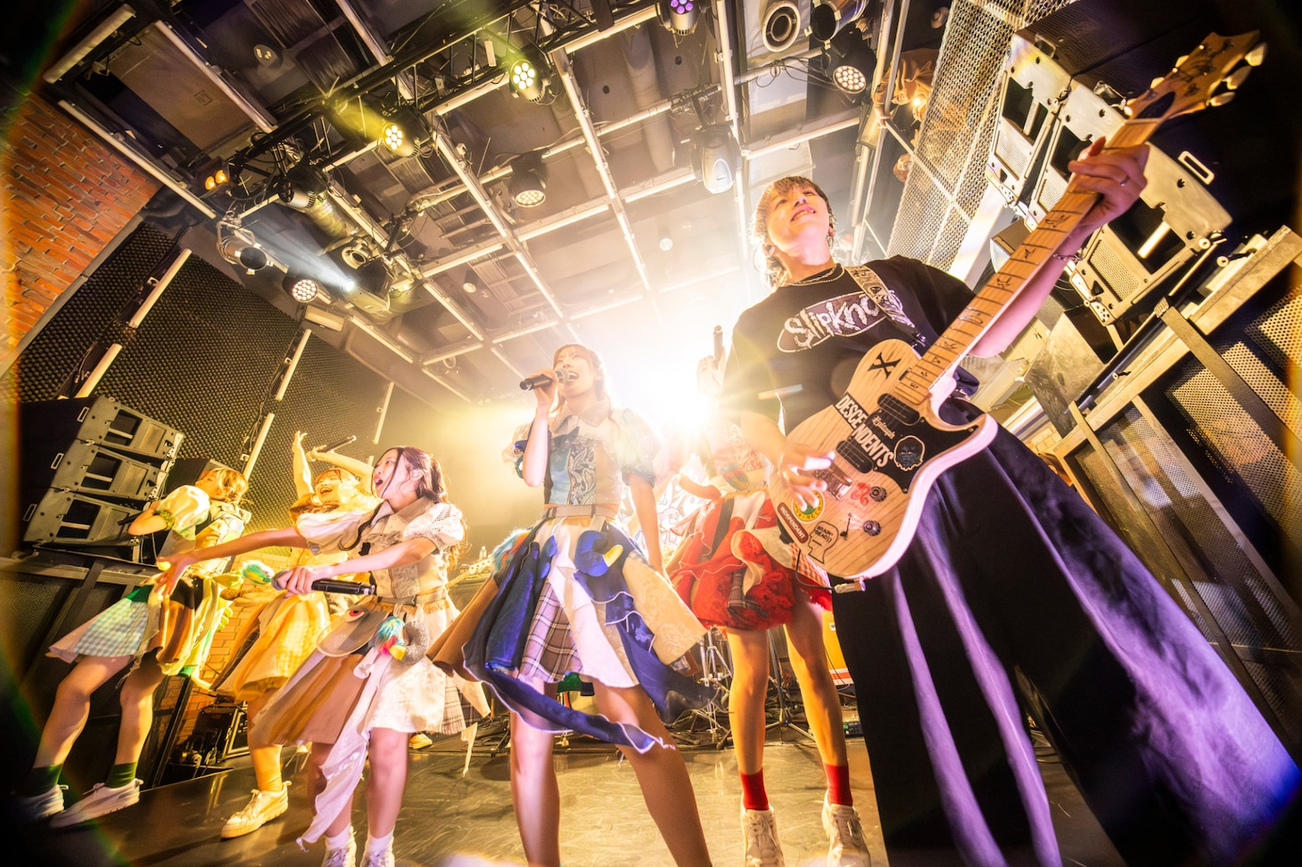 豆柴の大群バンドセッションの様子。（撮影：タカギユウスケ）