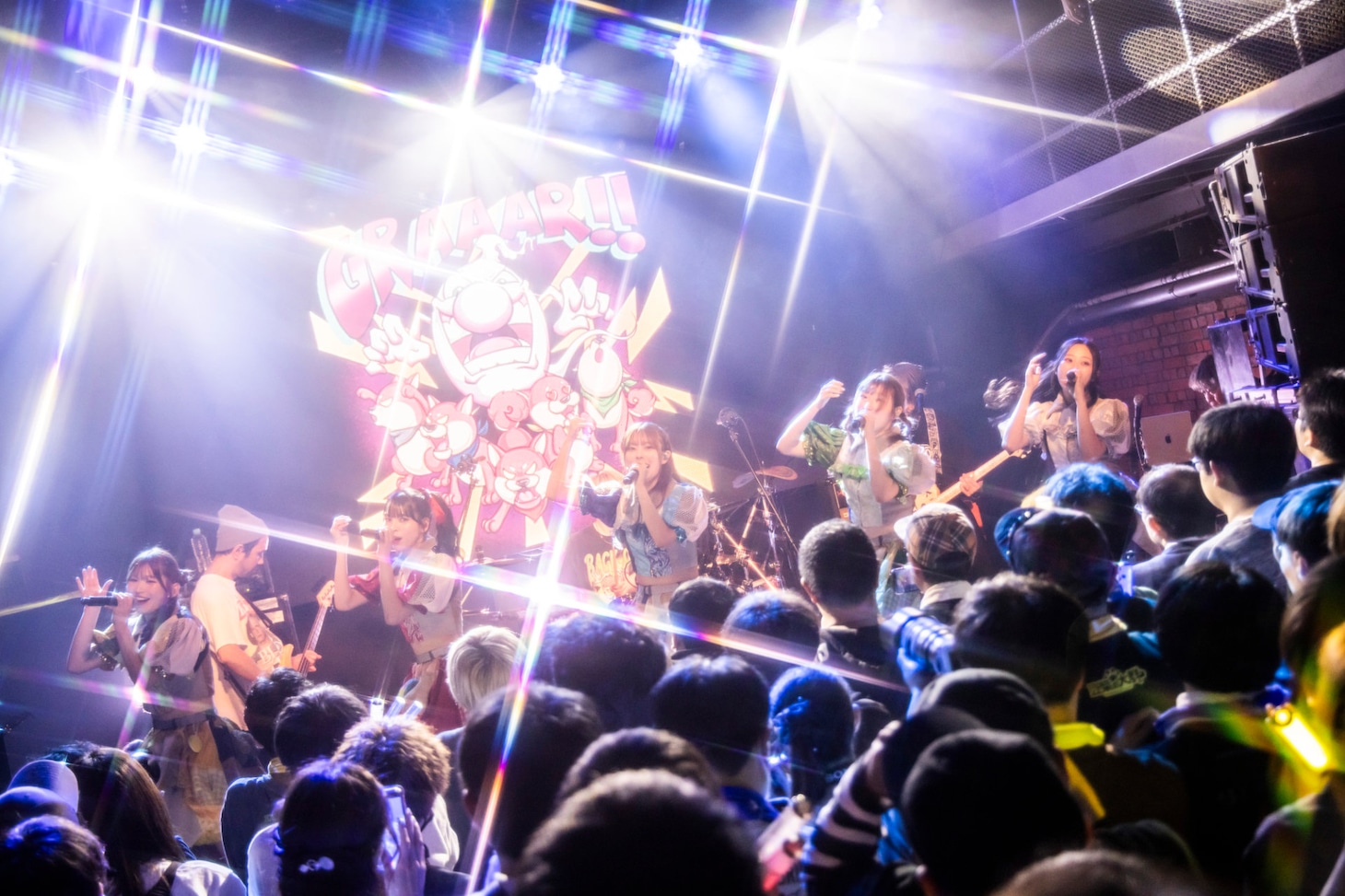 豆柴の大群バンドセッションの様子。（撮影：タカギユウスケ）