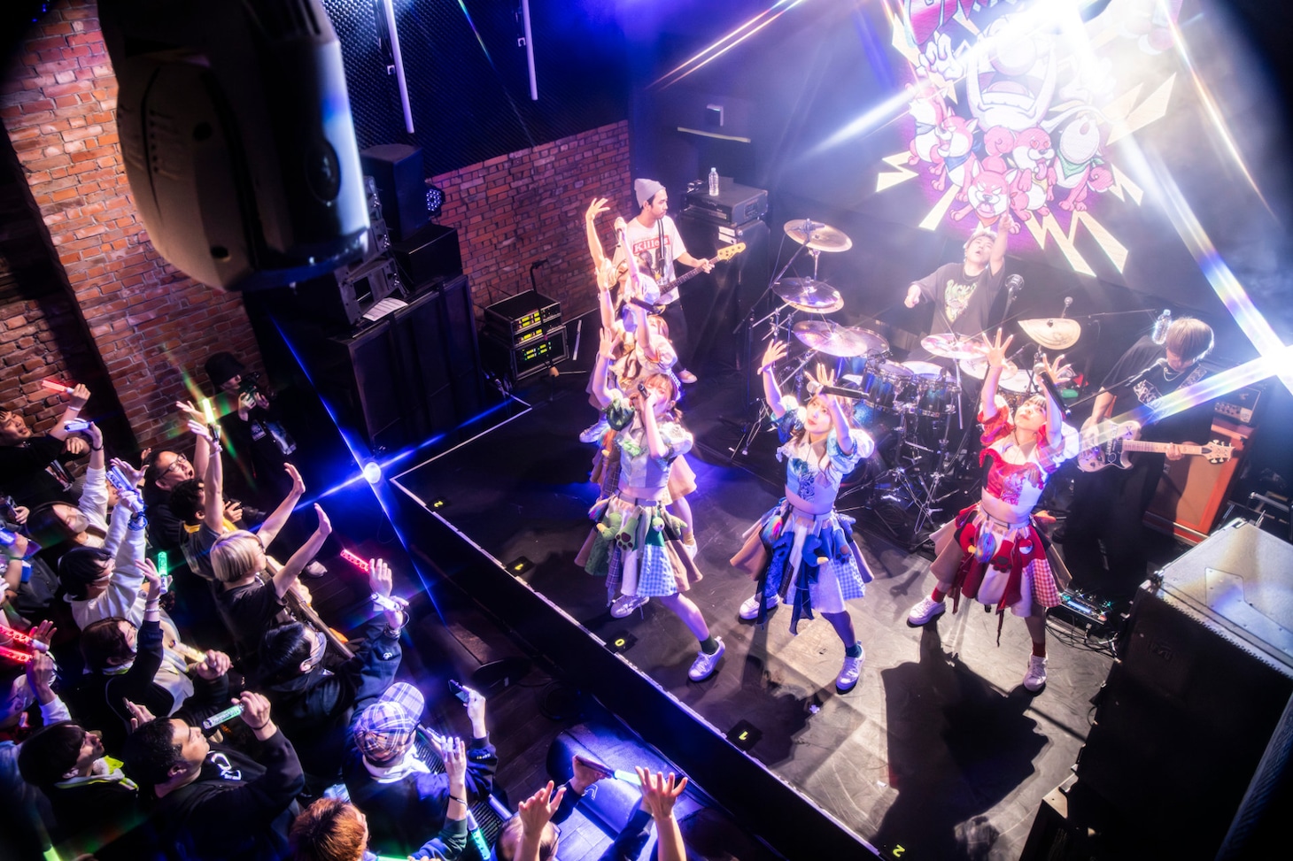 豆柴の大群バンドセッションの様子。（撮影：タカギユウスケ）