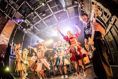 豆柴の大群バンドセッションの様子。（撮影：タカギユウスケ）