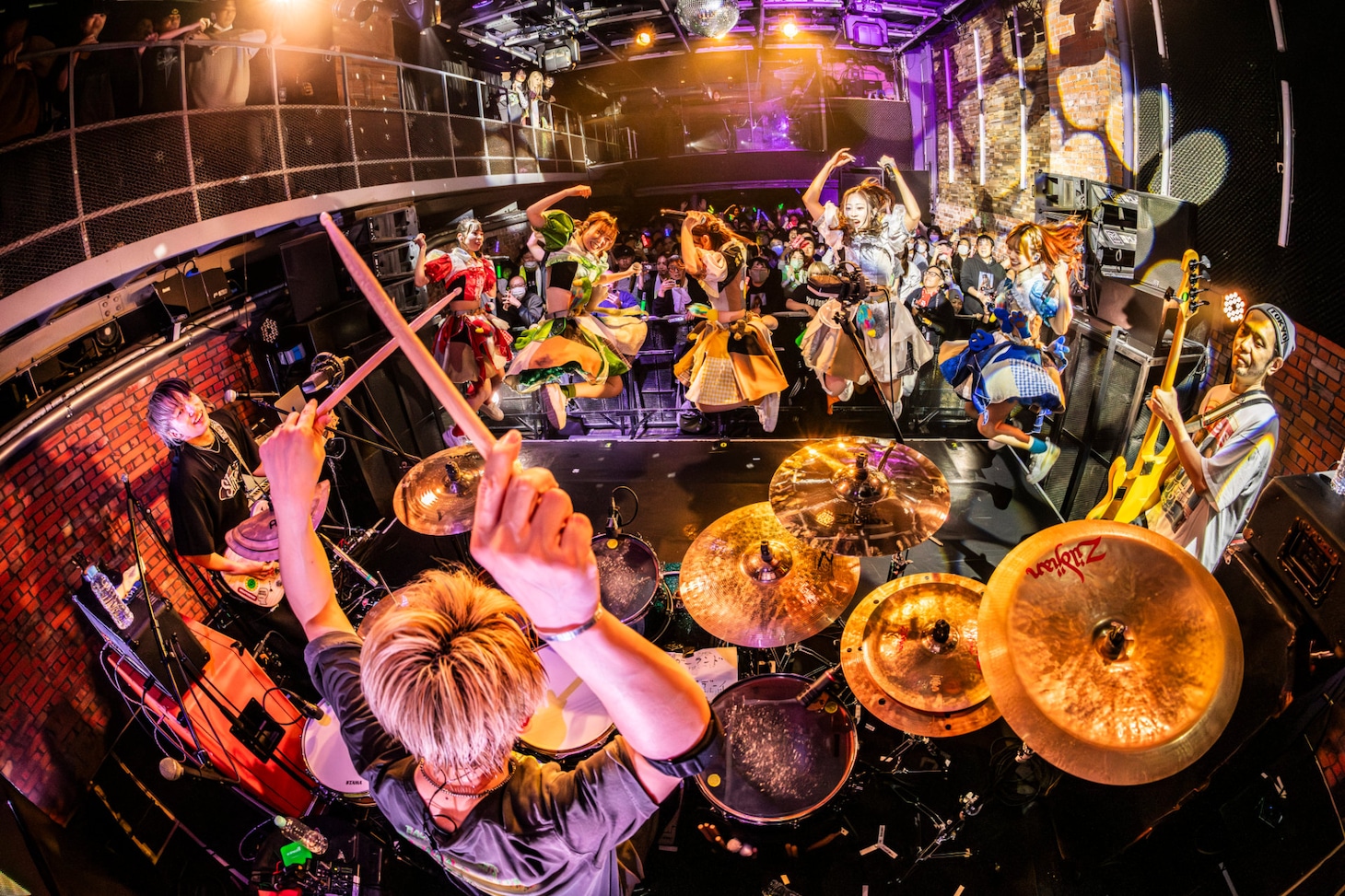 豆柴の大群バンドセッションの様子。（撮影：タカギユウスケ）