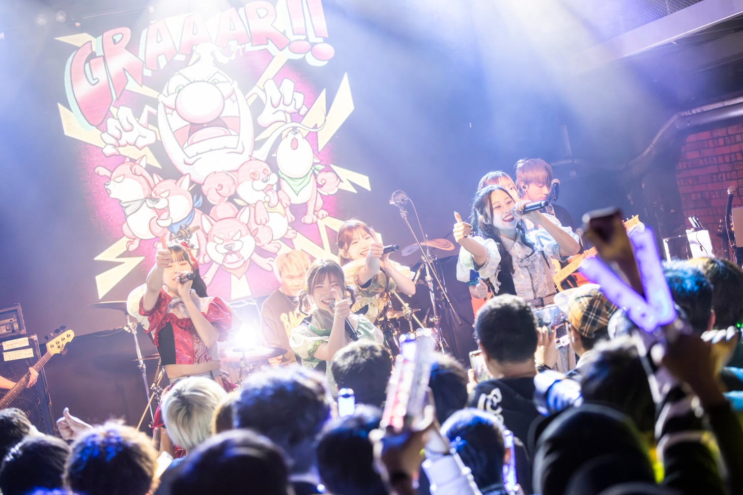 豆柴の大群バンドセッションの様子。（撮影：タカギユウスケ）